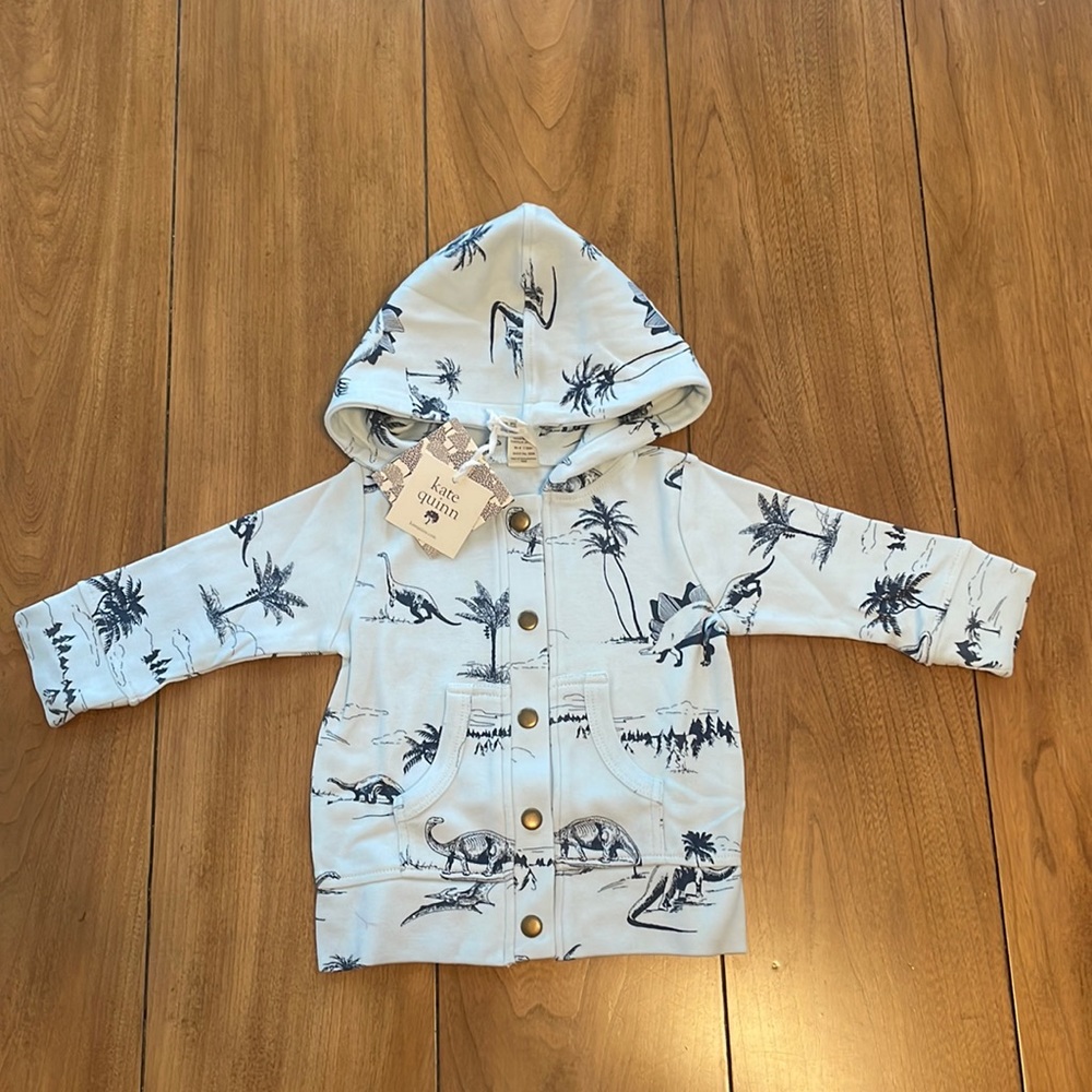 Snap Hoodie Dinosaur Blue Landscape Kate Quinn Long Sleeve NWT 6-12